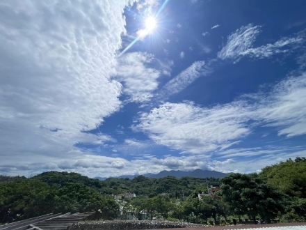 信手影來倒數2天